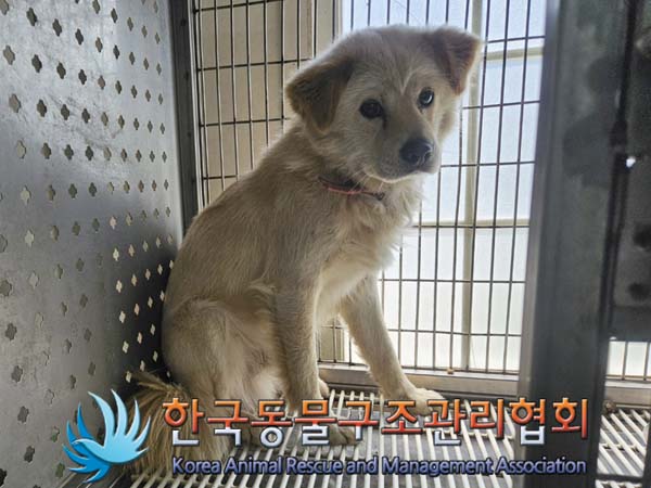 한국동물구조관리협회_441560202400678